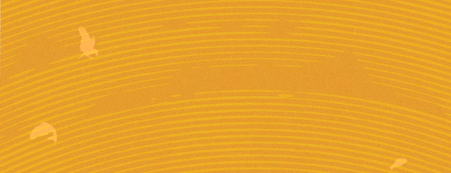 background backgorund